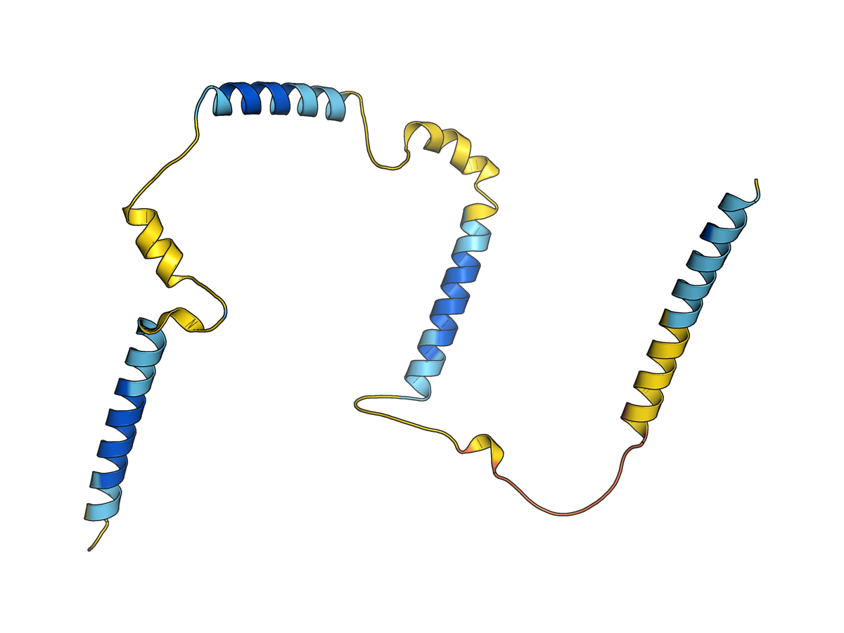 AlphaFold prediction of human proglucagon P01275 coloured by pLDDT confidence